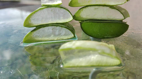¿Qué es el Aloe Vera y cuales son sus principales propiedades?